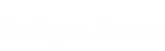 Carreaux Zelliges